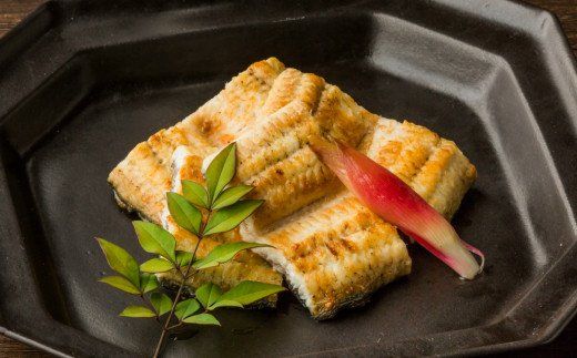 田野町産うなぎの白焼き(大）5本　タレ付き 山椒付き うなぎ 鰻 ウナギ 白焼 無頭 おいしい 国産 個包装 お取り寄せ 冷凍 配送