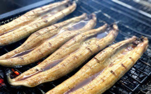 ヤマシン特選うなぎ蒲焼き2本定期便　計3回お届け