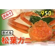 1537【魚倉】足１本なしボイル松葉ガニ(特大950ｇ)訳あり