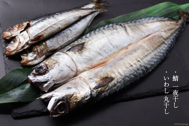 三陸焼物セットB 5種 金目鯛 一夜干し & 鯖 塩麹漬 & めかじき 味噌漬 & いわし 丸干し & さば 一夜干し [ひまわり食品 宮城県 気仙沼市 20565490] 魚 魚介類 干物 漬魚 切り身 惣菜 詰め合わせ 冷凍