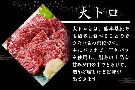 大トロ馬刺し(50g) 中トロ(霜降り)馬刺し(50g) 食べ比べコース【純国産熊本肥育】《30日以内に出荷予定(土日祝除く)》---ng_fjs08_30d_r8_10500---