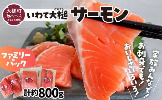 岩手大槌サーモン ～家族とみんなで。～ 800g｜サーモン国産 刺身 刺身冷凍 小分け サーモン 冷凍 岩手県大槌町【0tsuchi01311】