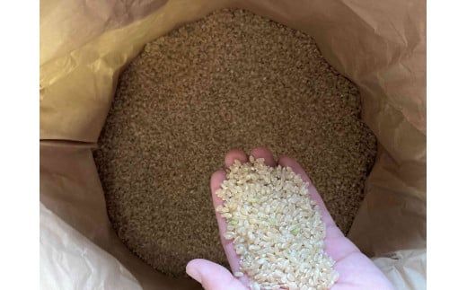 D335 徳さん家のヒノヒカリ（エコやまぐち100仁保産ヒノヒカリ）玄米5㎏