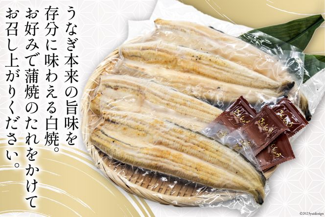 うなぎ 国産 静岡 うなぎ白焼 4尾 セット 140g×4 計約560g [静岡鰻販売 静岡県 吉田町 22424177] 鰻 ウナギ 白焼 白焼き 真空パック 蒲焼 惣菜 おかず 静岡県産 冷凍