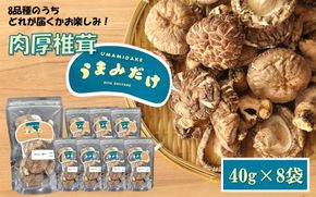 8品種からどれが届くかお楽しみ！大分県産うまみだけ（肉厚椎茸）40g×8袋_2292R