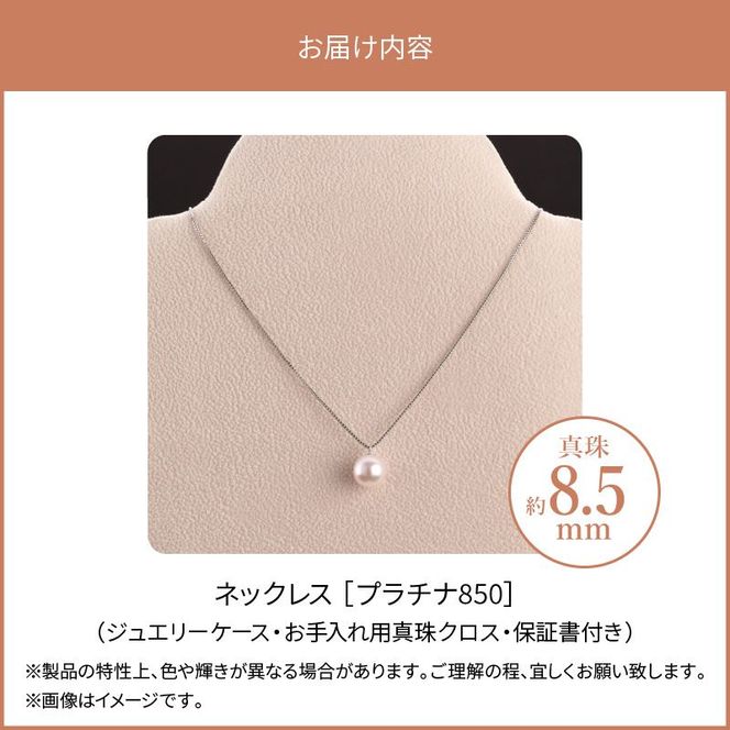T04002】プラチナ850 あこや本真珠 パールネックレス 1珠 真珠 T04002】プラチナ850 あこや本真珠 パールネックレス 1珠 真珠