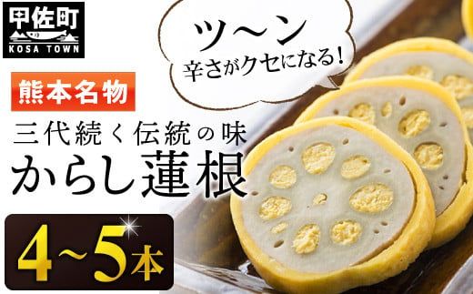 【3代続く伝統の味】ピリッとうまか！熊本からし蓮根（4本～5本）