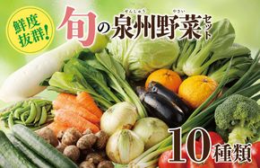 099H2491 【スピード発送】新鮮 野菜セット 10種類【国産 新鮮 おまかせ お楽しみ 旬 詰め合わせ 泉州野菜】