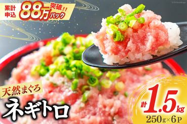 【ZIP!で紹介】ネギトロ 250g×6p 計1.5kg 小分け パック [マルハニチロオーシャン 静岡県 吉田町 22424247] ねぎとろ まぐろたたき 天然 マグロ めばち きはだ 1kg以上 冷凍 魚介 海鮮