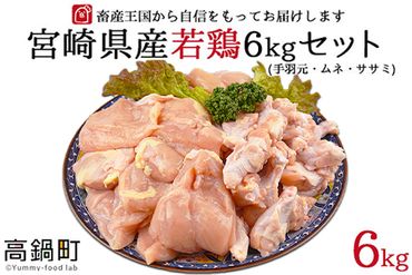 ＜宮崎県産若鶏3種 計6kgセット＞翌月末迄に順次出荷【c504_hn_x3】