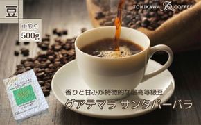 自家焙煎コーヒー豆専門店とみかわの「グアテマラ　サンタバーバラ」500g（豆） ※北海道・沖縄・離島への配送不可