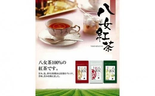 【A5-277】福岡県産八女星野ティーバッグ50個・八女紅茶3種詰合せ