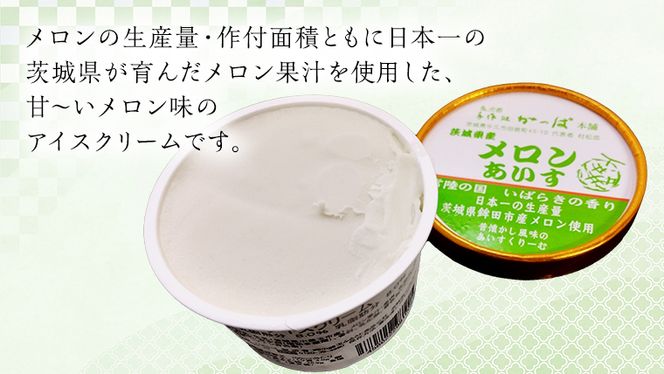 茨城県産メロンあいす 12個 アイス デザート めろん 贈り物 カップ 冷凍 [AE021us]