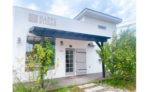 オーガニック ブルーベリー パイ (直径16cm) B4124