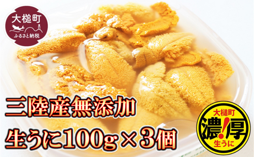 【5月中旬～発送】天然生うに 100g×3個 《キタムラサキウニ》【配送日指定不可】【0tsuchi01225】【05】