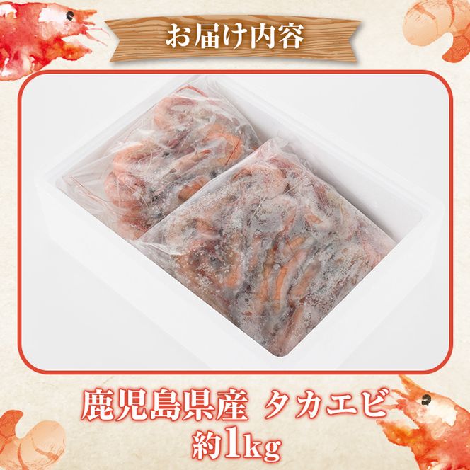 数量限定！タカエビ(約1kg・30～50尾)国産 えび 海老 海鮮 魚介 甘エビ 甘えび 冷凍 期間限定【松永青果】a-14-25