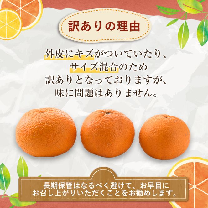 ＜先行予約受付中！2026年3月以降順次発送予定＞訳あり 紅甘夏(約12kg) 国産 鹿児島県産 果物 フルーツ 柑橘 みかん 甘夏【松永青果】akn053-19