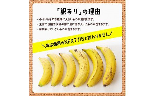 【訳あり】国産バナナ １ｋｇ【12ヶ月定期便】【 国産 バナナ 無農薬 フルーツ 果物 デザート 朝食 スムージー 宮崎県産 川南町 全12回 】 [F5805]