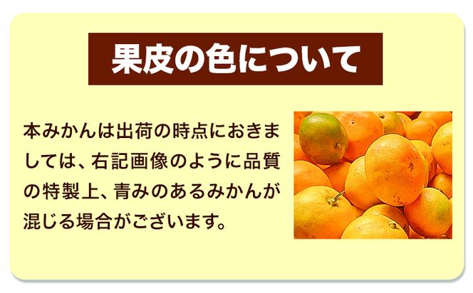 『大隅果樹園』のご家庭用みかん 約5kg(2S~Lサイズ) 大隅果樹園《10月下旬-12月下旬頃出荷》熊本県 玉名郡 玉東町 みかん 柑橘 フルーツ 果物 ご家庭用 訳あり---sg_wosumikan_p1012_24_7500_5kg---