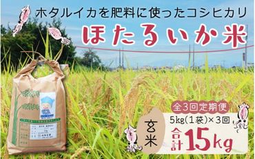 【訳あり】ほたるいか米（玄米５kg）×3回 計15kg【3ヶ月定期便】