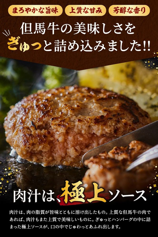 010AA09N.但馬牛経産牛ハンバーグ（150g×5個）但馬牛 牛肉 100%