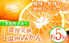 【先行予約】【ご家庭用訳アリ】 紀州有田産 濃厚完熟温州みかん 約5kg 魚鶴商店《2024年11月下旬-2025年2月上旬頃出荷予定》 和歌山県 日高町 みかん 温州みかん 完熟 濃厚 柑橘 ご家庭用---wsh_utshkaum_l112_23_11000_5kg---