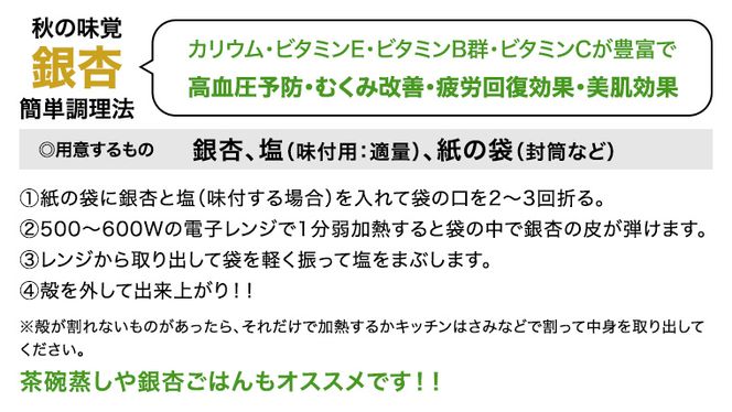 【 先行予約 2025年10月上旬以降発送 】銀杏 ぎんなん 約1kg ( 殻付き ・ L )　500g × 2袋 イチョウ 秋 美味 栄養満点 健康 高血圧予防 むくみ改善 疲労回復 美肌  [AX025ya]