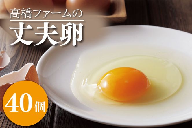 yȖ،vqzAQ003-1 t@[̏v 40 Y܂@@ʎq@^}S