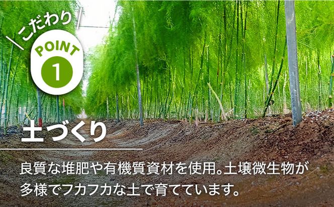 【3回定期便】【星のアスパラ】春・夏・秋 の グリーン アスパラガス 約1kg / アスパラ 野菜 / 南島原市 / ほしのYA[SEY013]