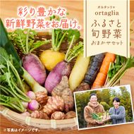 A-229 季節の旬野菜 10品 おまかせセット（農薬・化学肥料不使用）《45日以内に出荷予定(土日祝除く)》