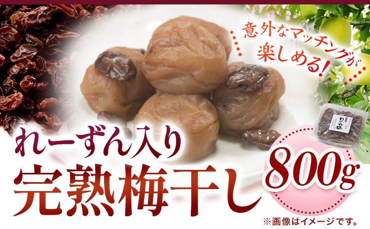 紀州南高梅使用れーずん入り完熟梅干し800g 厳選館[90日以内に出荷予定(土日祝除く)]和歌山県 日高町 梅干し れーずん 梅 紀州南高梅 送料無料---wsh_gsk93_90d_25_15000_1p---