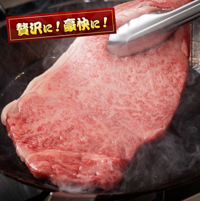 《数量限定》宮崎牛ロースステーキ1枚 (250g) 肉 牛肉 宮崎県産 黒毛和牛 [D0601]