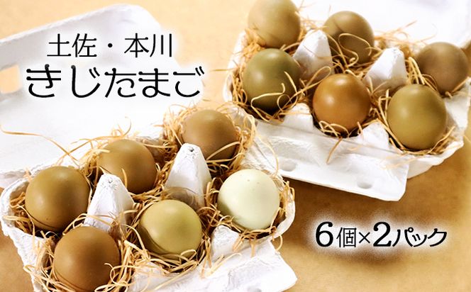 【5月末頃まで】本川手箱　きじたまご（12個）