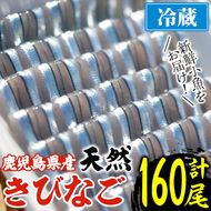 鹿児島県阿久根産 天然きびなごのお刺身(計160尾・40尾×4パック)国産 魚介 魚貝 海産物 鮮魚 冷蔵配送 キビナゴ 海鮮丼 食品 セット 詰め合わせ 水産加工品【濱崎魚類】a-12-4-z