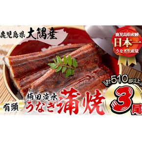 楠田の極うなぎ 蒲焼き170g以上×3尾(510g以上)【志布志】 b2-010