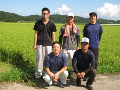 B4082 【令和5年産米】新潟県岩船産 新之助・特別栽培米岩船産コシヒカリセット12kg