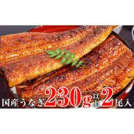 632.【数量限定】超特大サイズ国産うなぎ蒲焼き2本セット （230～249g×2本）(A632-2)