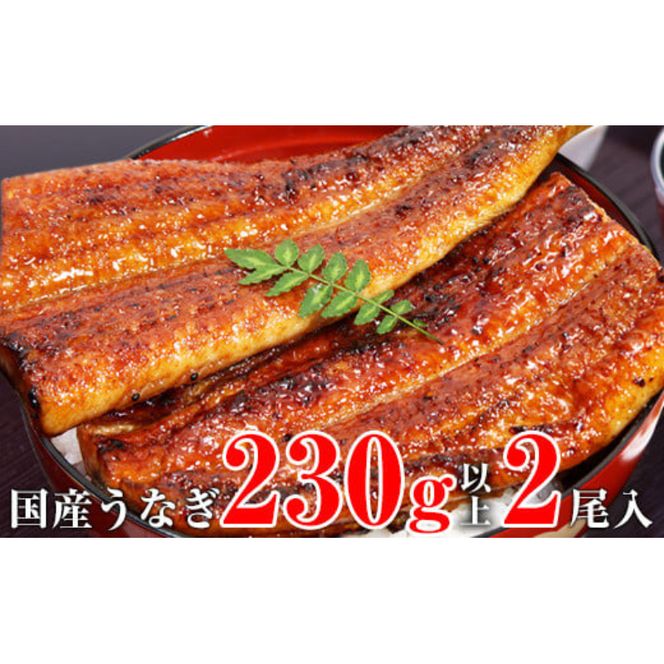 ya̎RLcsz632.yʌzTCYYȂĂ2{Zbg i230`249g×2{j(A632-2)