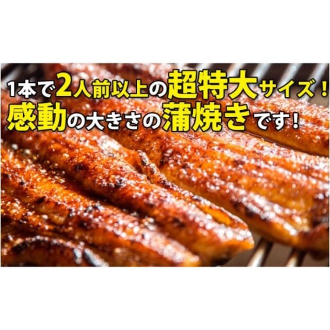 632.【数量限定】超特大サイズ国産うなぎ蒲焼き2本セット （230～249g×2本）(A632-2)