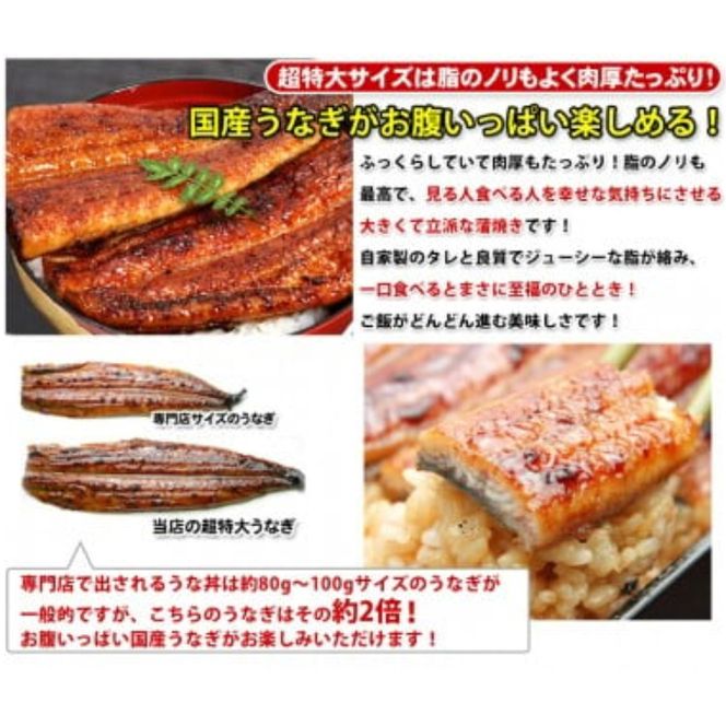 632.【数量限定】超特大サイズ国産うなぎ蒲焼き2本セット （230～249g×2本）(A632-2)