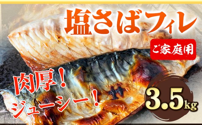 ご家庭用 塩さばフィレ 3.5kg 株式会社魚鶴商店 《30日以内に出荷予定(土日祝除く)》 さば 塩サバ 鯖---wsh_futsksbf_30d_23_17000_3500g---