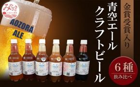 青空エールこだわりのクラフトビール飲み比べ詰め合わせセット6種6本（500mlペットボトル×6本）_M170-004