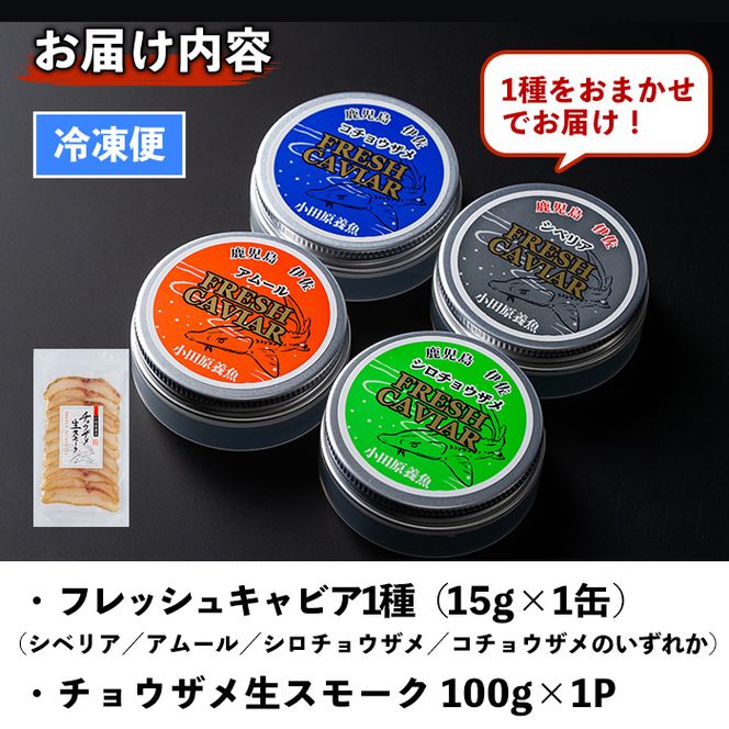isa557 〈毎月数量限定〉おまかせフレッシュキャビア(15g×1種)＆チョウザメスモーク(100g×1P)セット 【小田原養魚】