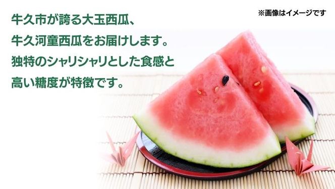 《 先行予約 》 牛久市産 河童 西瓜 L 2玉 ( 約 12kg ) 【 2026年6月中旬発送開始 】 果物 フルーツ Lサイズ スイカ すいか 期間限定 旬 国産 アイス シャーベット [DV008us]