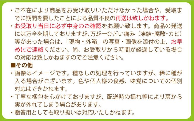 【2026年8月中旬～発送】シャインマスカット 2kg（3房～5房） / フルーツ ぶどう ブドウ 産地直送 / 南島原市 / 長崎県農産品流通合同会社[SCB084]