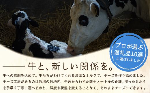 竹下牧場 takeshita farm【定期便３ヶ月】まるごとチーズセット 計560g【2400201】