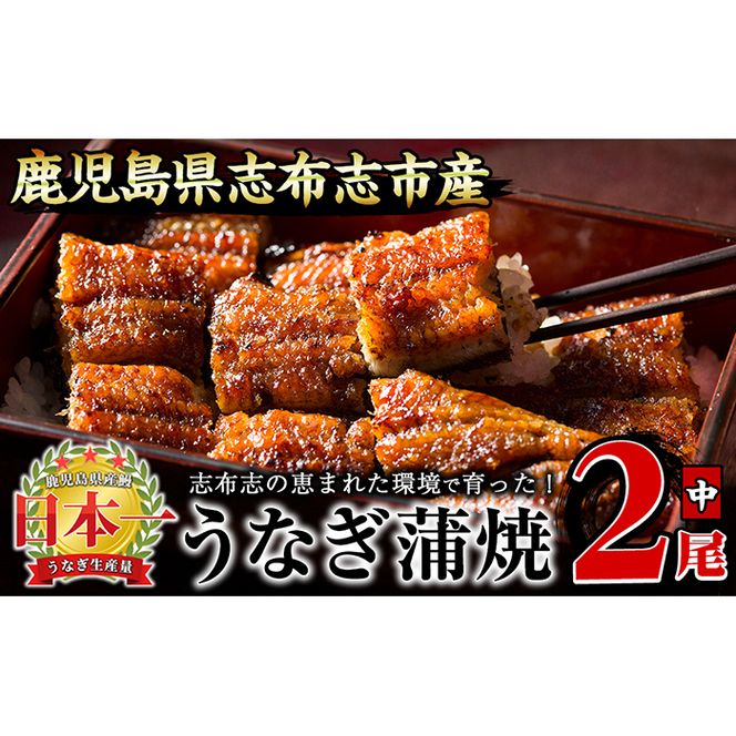 yuzuszȂ̑큃2Zbgv260g(130g×2) a4-065
