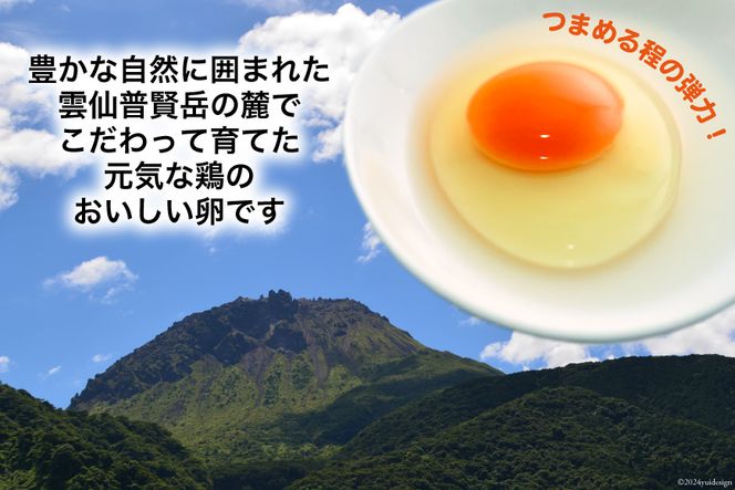 BI028 たっぷり！ 雲仙たまごMSサイズ 108個(100個＋割れ補償8個