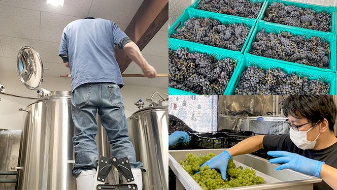 【 数量限定 】エピヌ メルロ 2021 茨城県産 牛久醸造場 日本ワイン 赤ワイン 750ml × 1本 やや辛口 ミディアムボディ お酒 贈り物 ラズベリー [BJ017us]