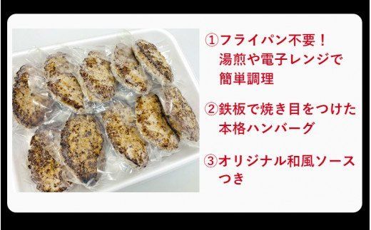 おおいた和牛と大分県産の豚を使った大分プレミアムハンバーグたっぷり1.6kg！（160g×10個）_1821R